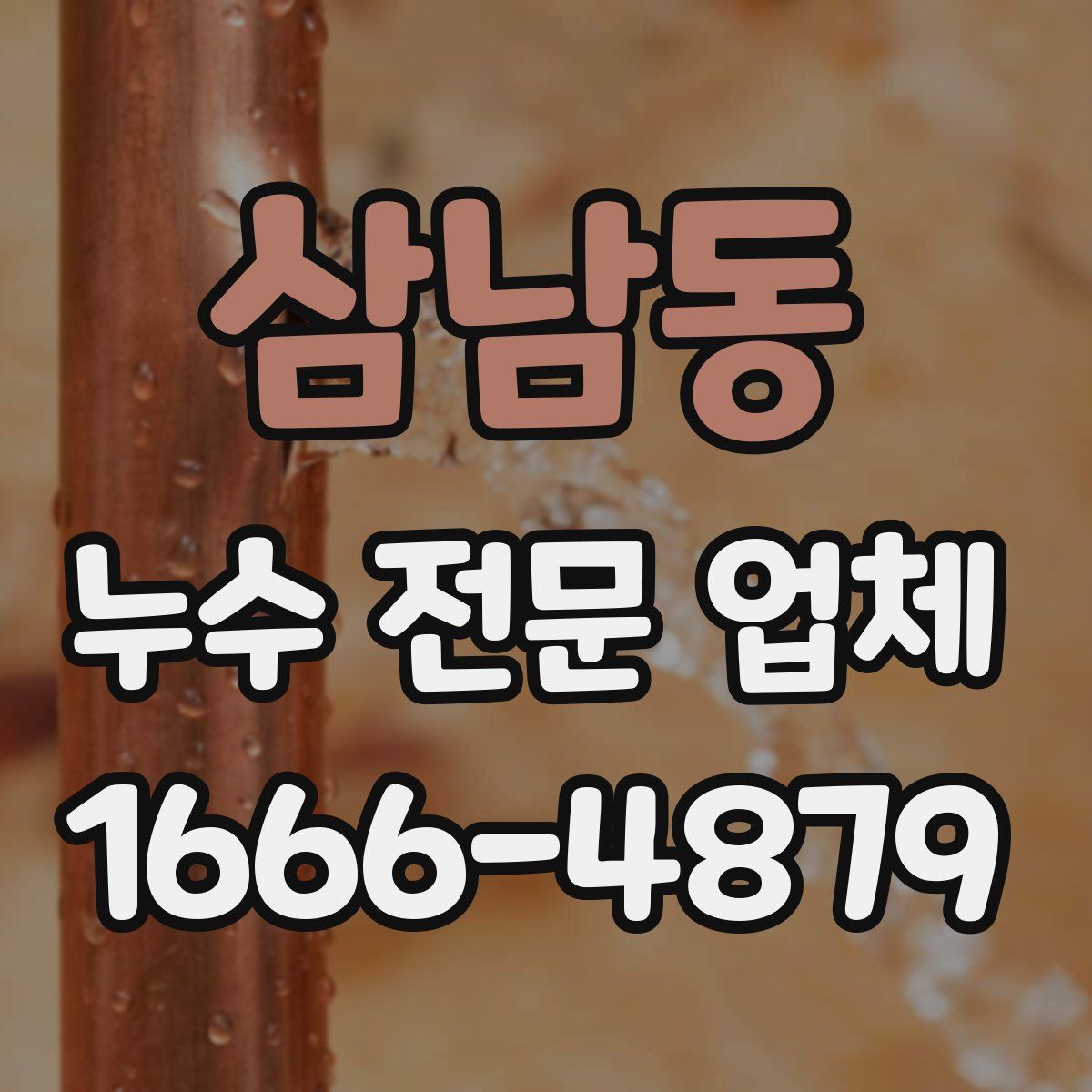 삼남동 누수 전문 업체