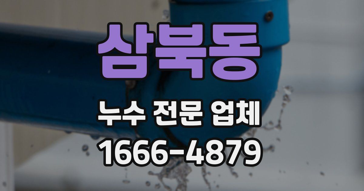 삼북동 누수 전문 업체