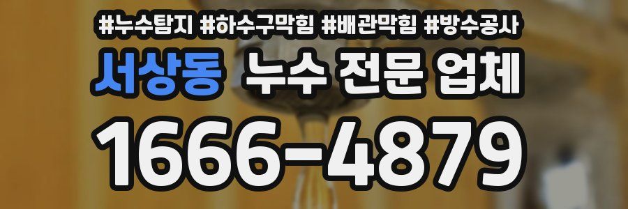 서상동 누수 전문 업체