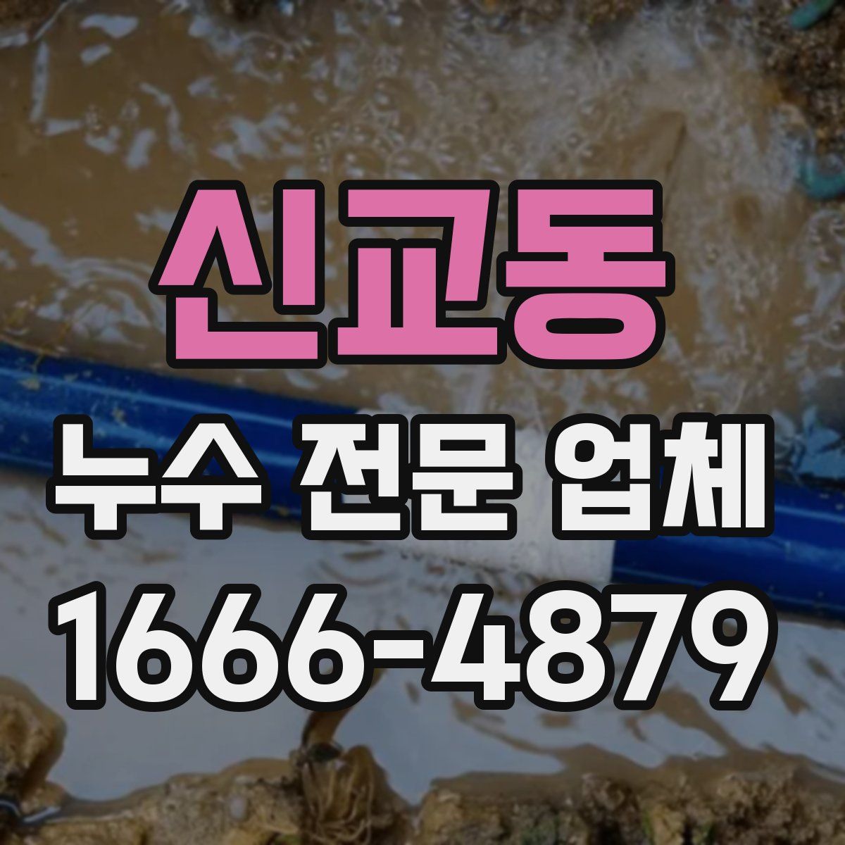신교동 누수 전문 업체