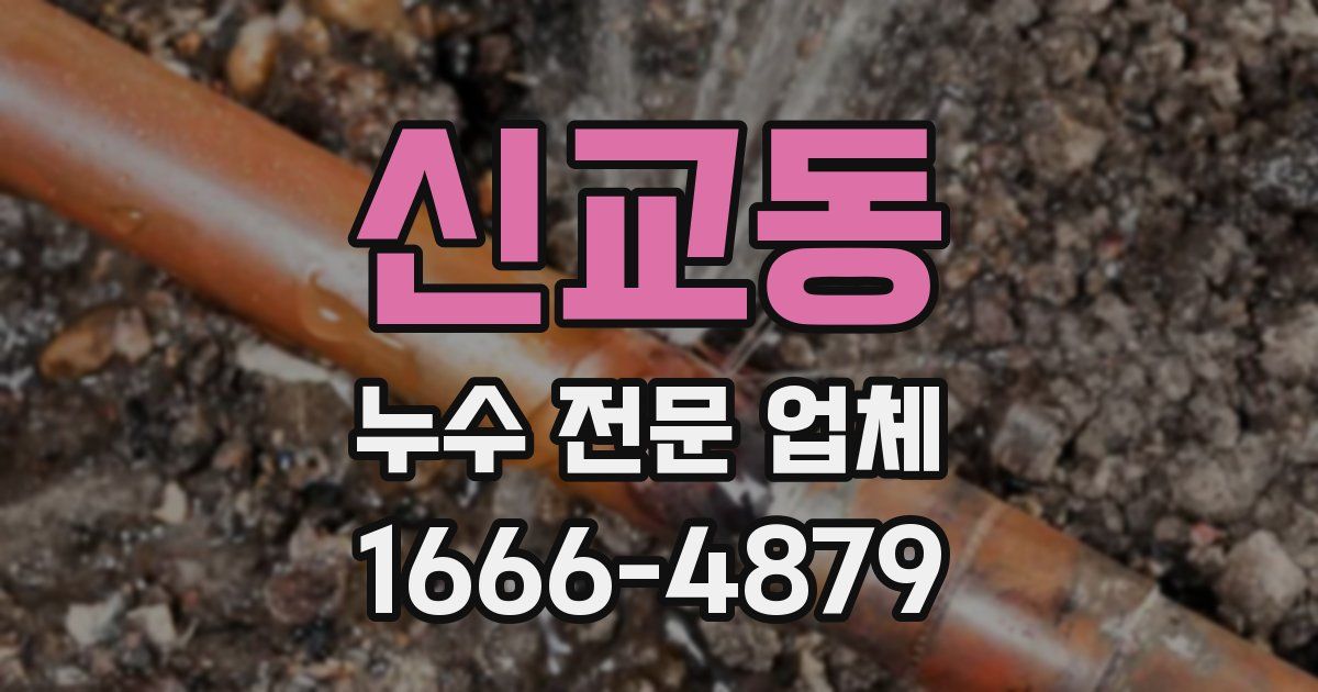 신교동 누수 전문 업체