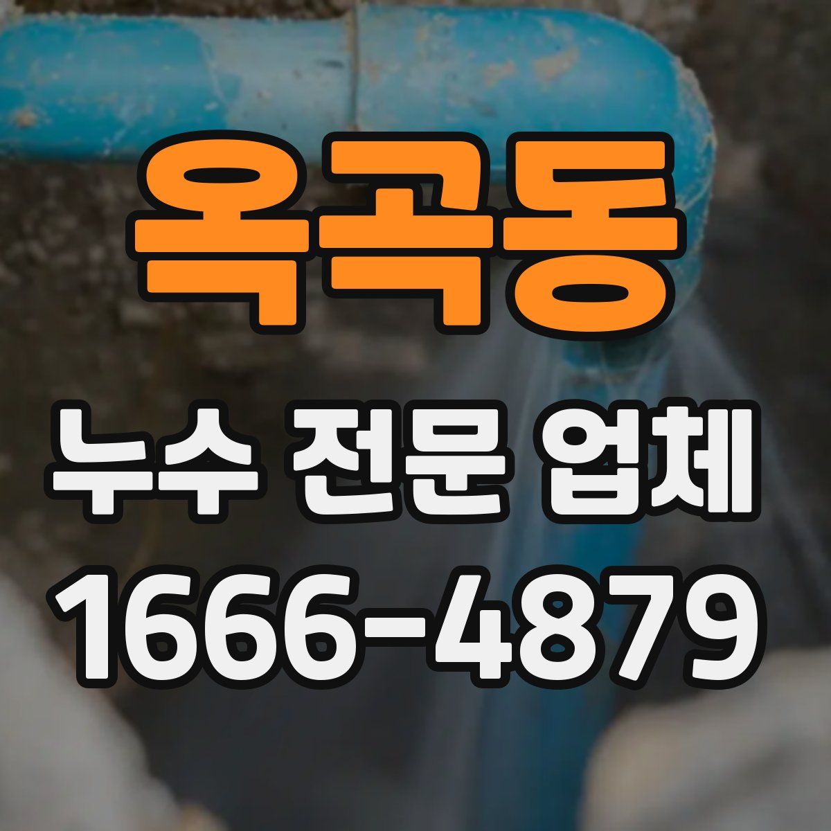 옥곡동 누수 전문 업체