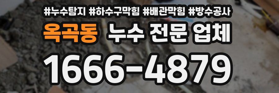 옥곡동 누수 전문 업체