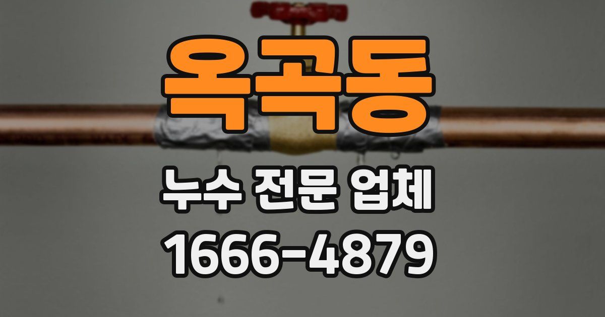 옥곡동 누수 전문 업체