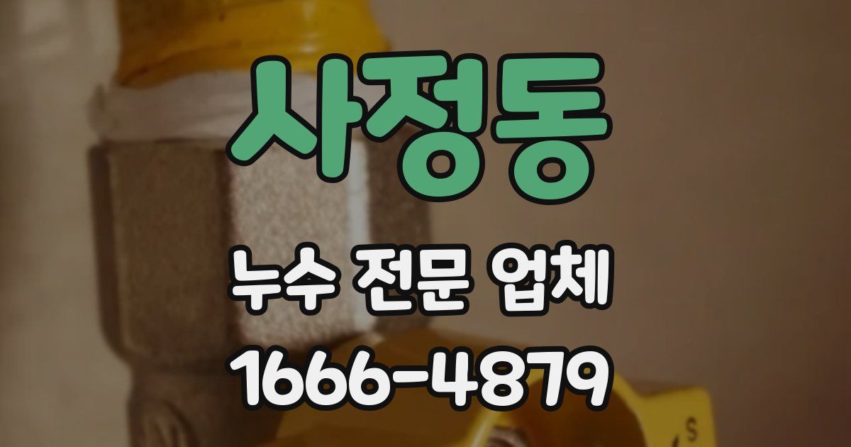 사정동 누수 전문 업체