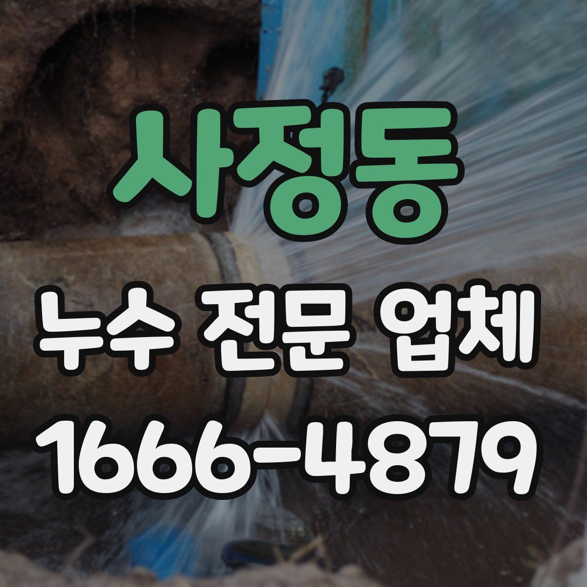 사정동 누수 전문 업체