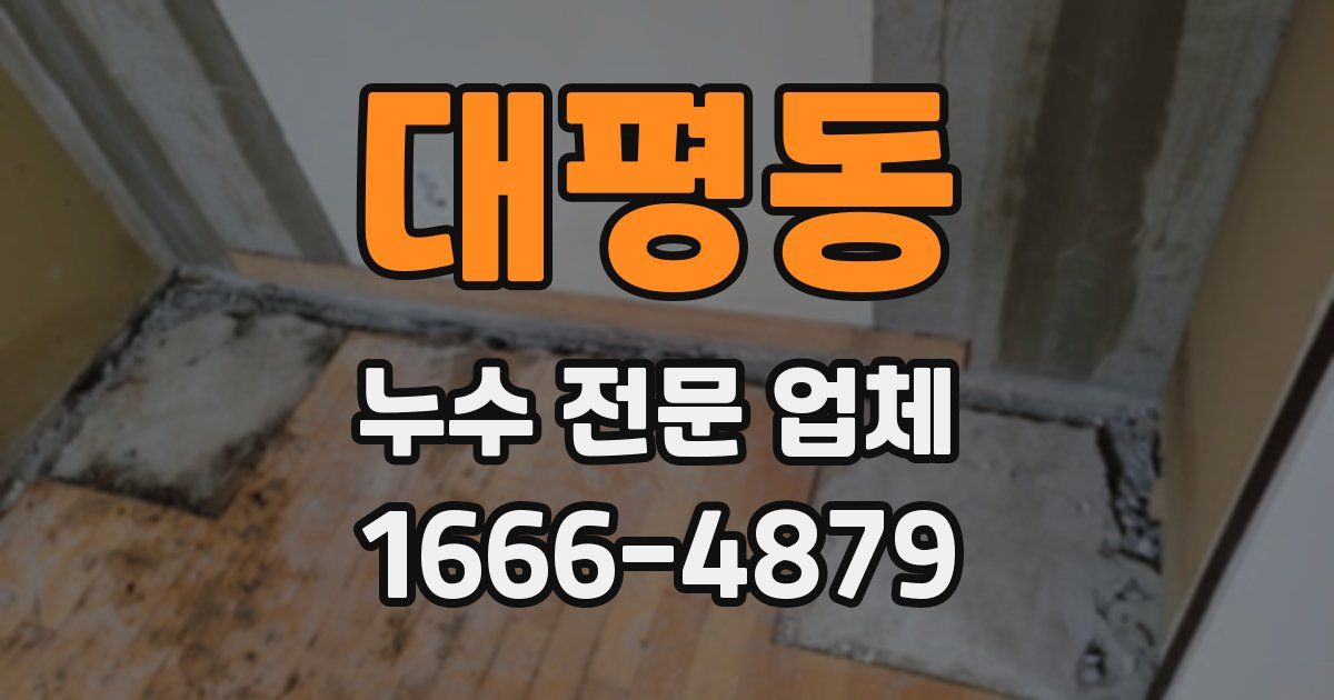 대평동 누수 전문 업체