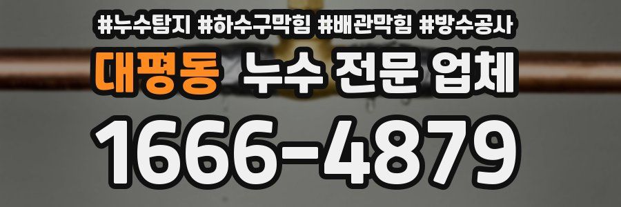 대평동 누수 전문 업체