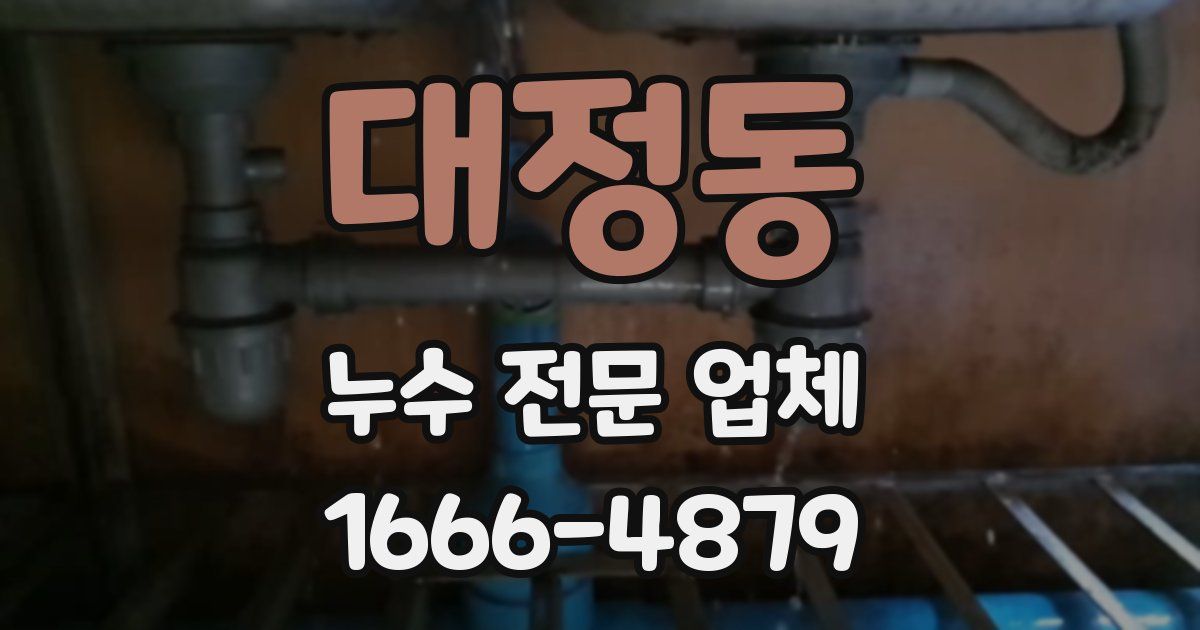 대정동 누수 전문 업체