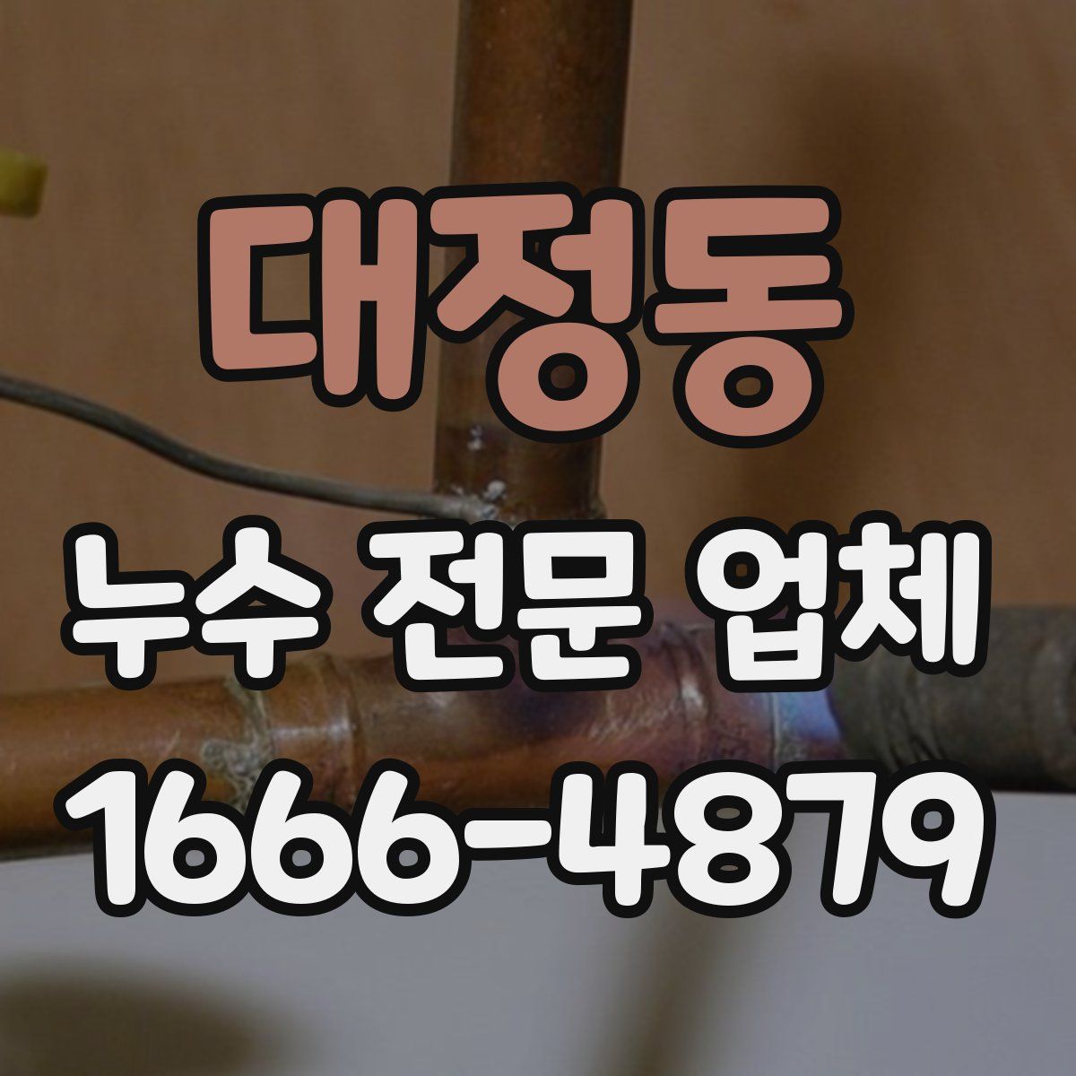 대정동 누수 전문 업체