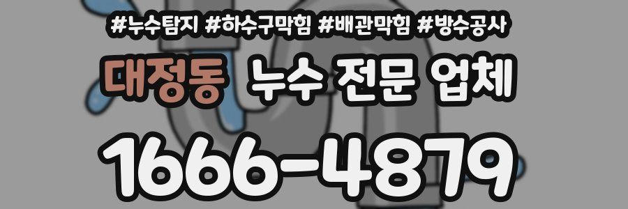 대정동 누수 전문 업체