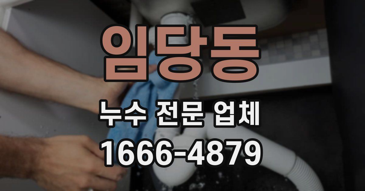 임당동 누수 전문 업체