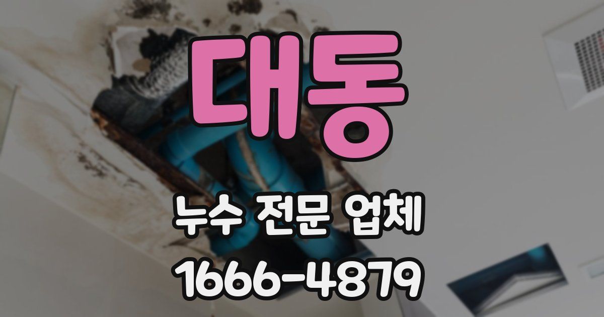 대동 누수 전문 업체