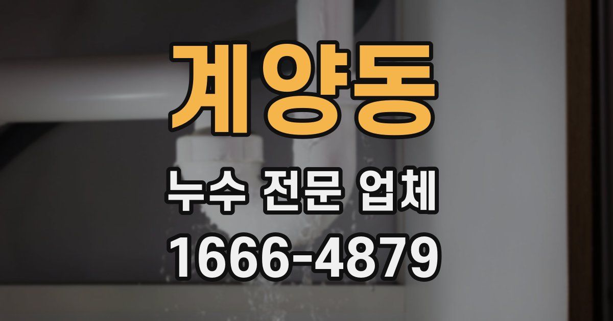 계양동 누수 전문 업체