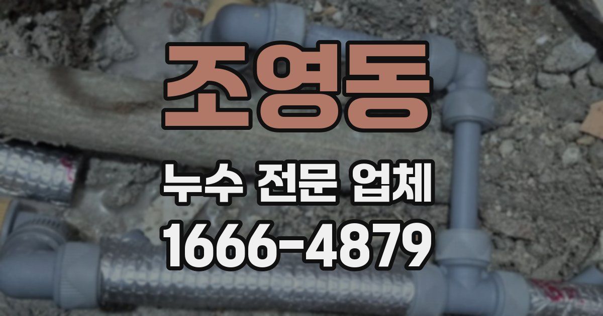 조영동 누수 전문 업체