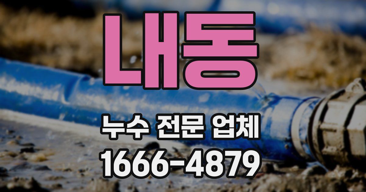 내동 누수 전문 업체