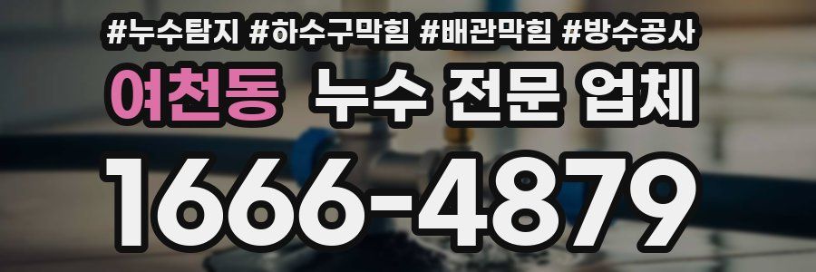 여천동 누수 전문 업체