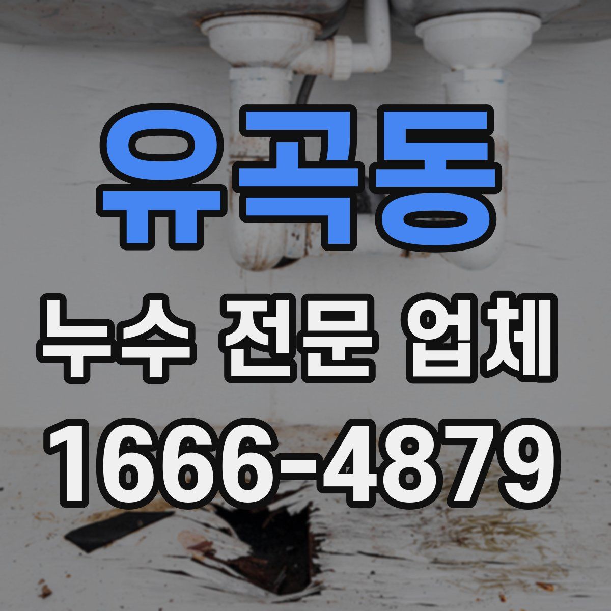 유곡동 누수 전문 업체