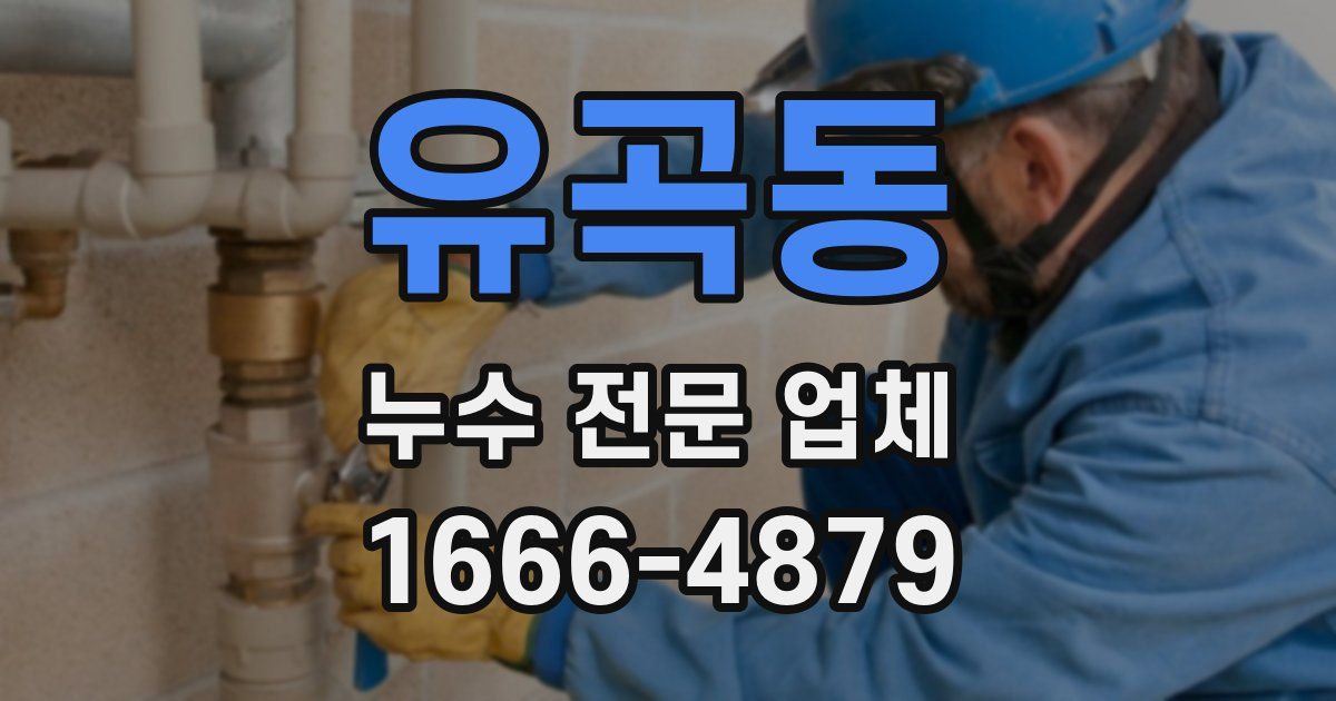 유곡동 누수 전문 업체