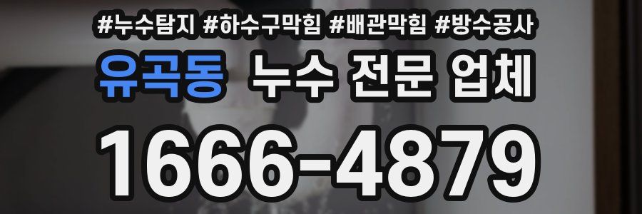 유곡동 누수 전문 업체