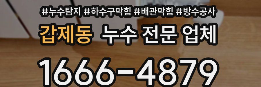 갑제동 누수 전문 업체