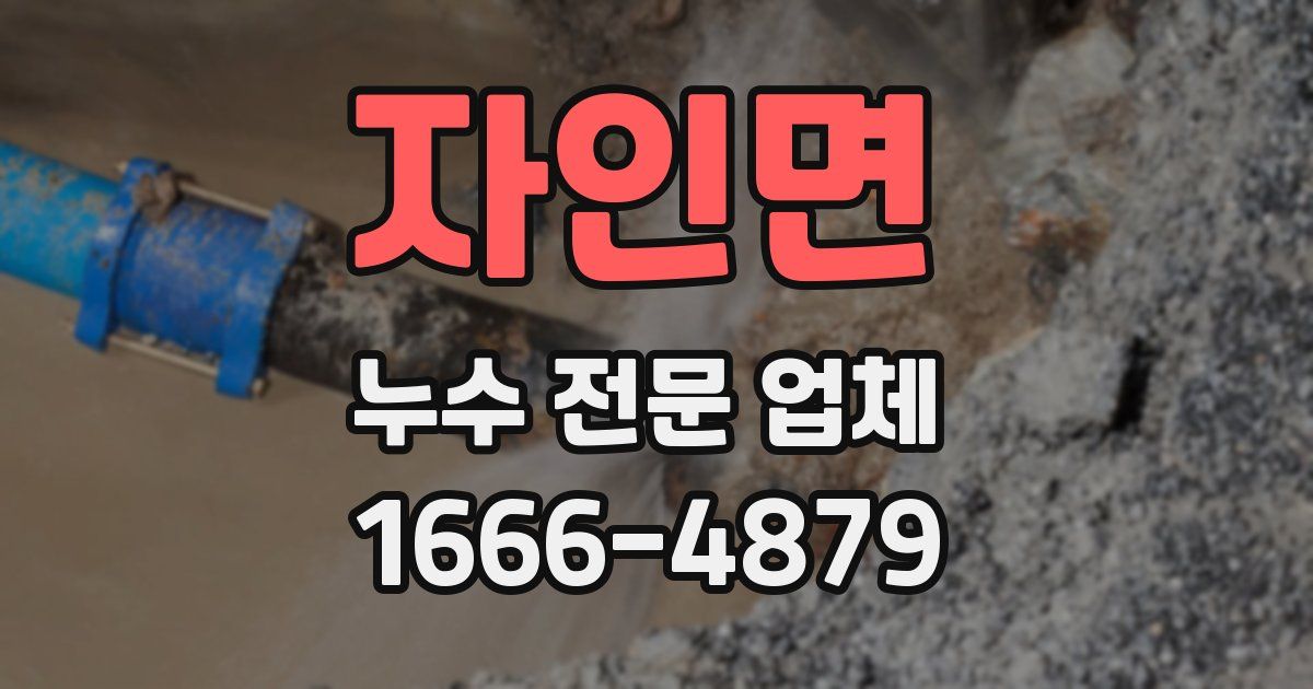 자인면 누수 전문 업체