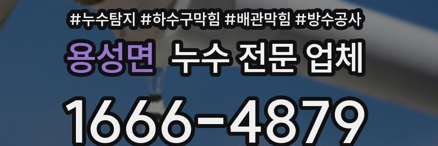 용성면 누수 전문 업체