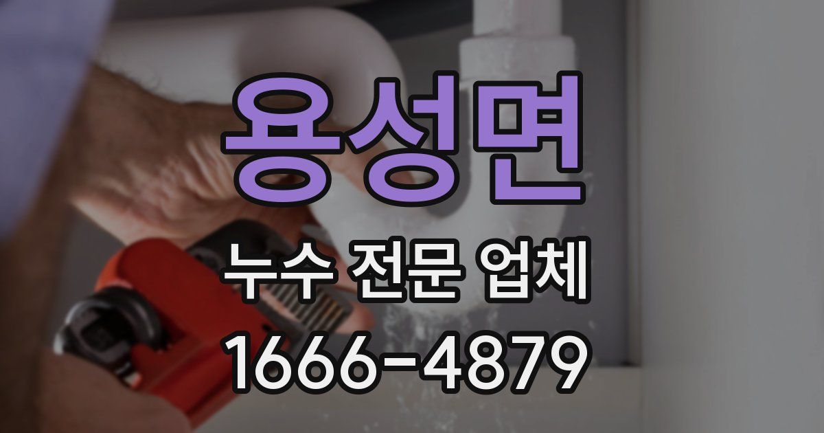 용성면 누수 전문 업체