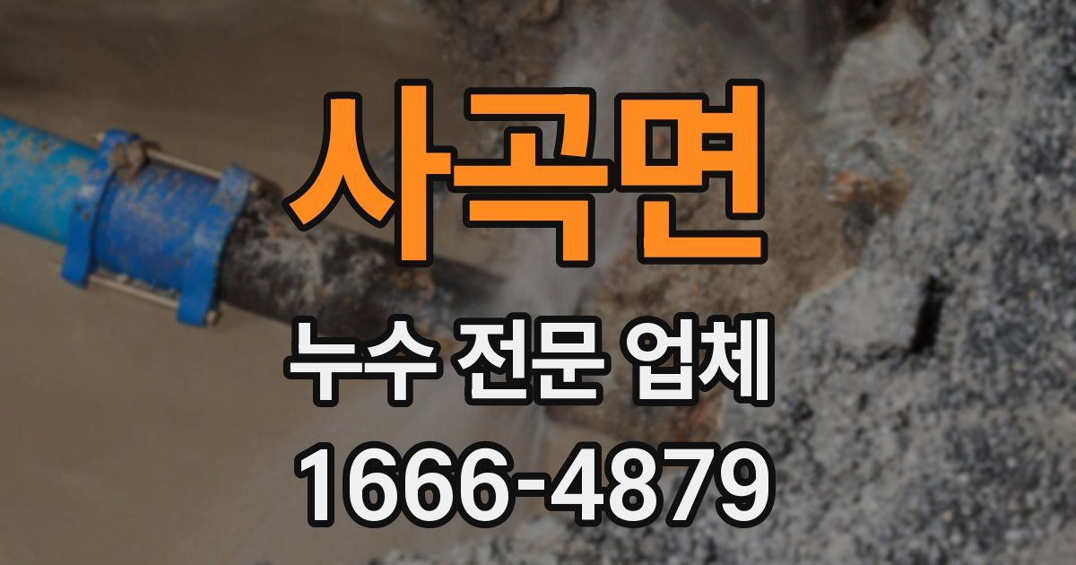 사곡면 누수 전문 업체