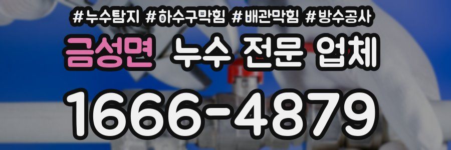 금성면 누수 전문 업체