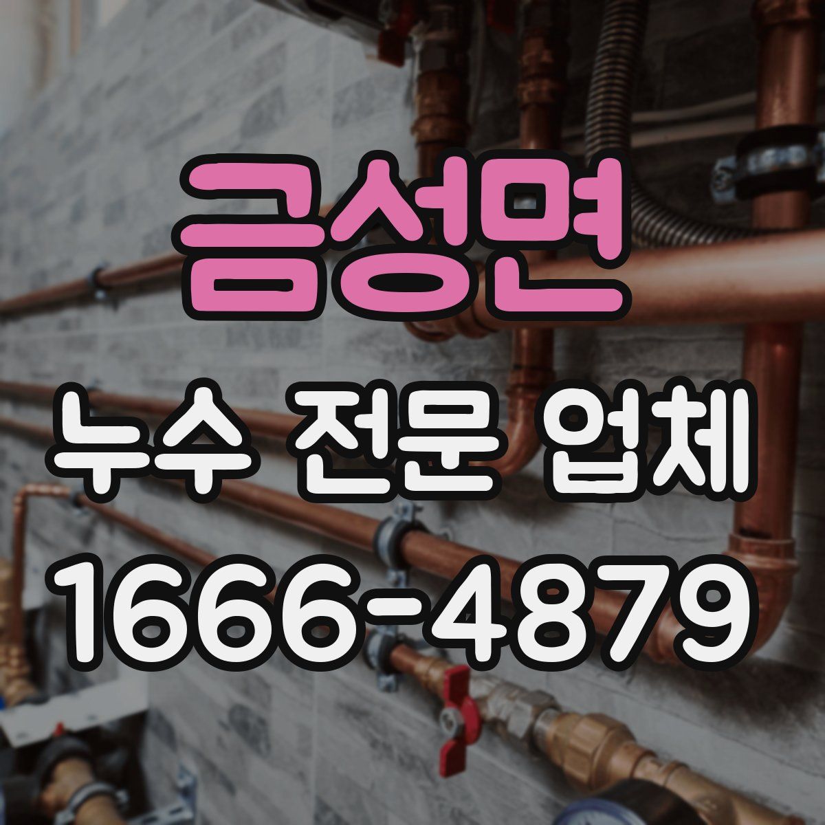 금성면 누수 전문 업체