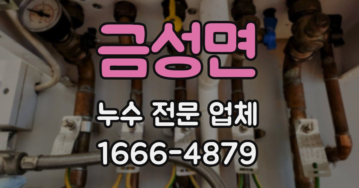 금성면 누수 전문 업체