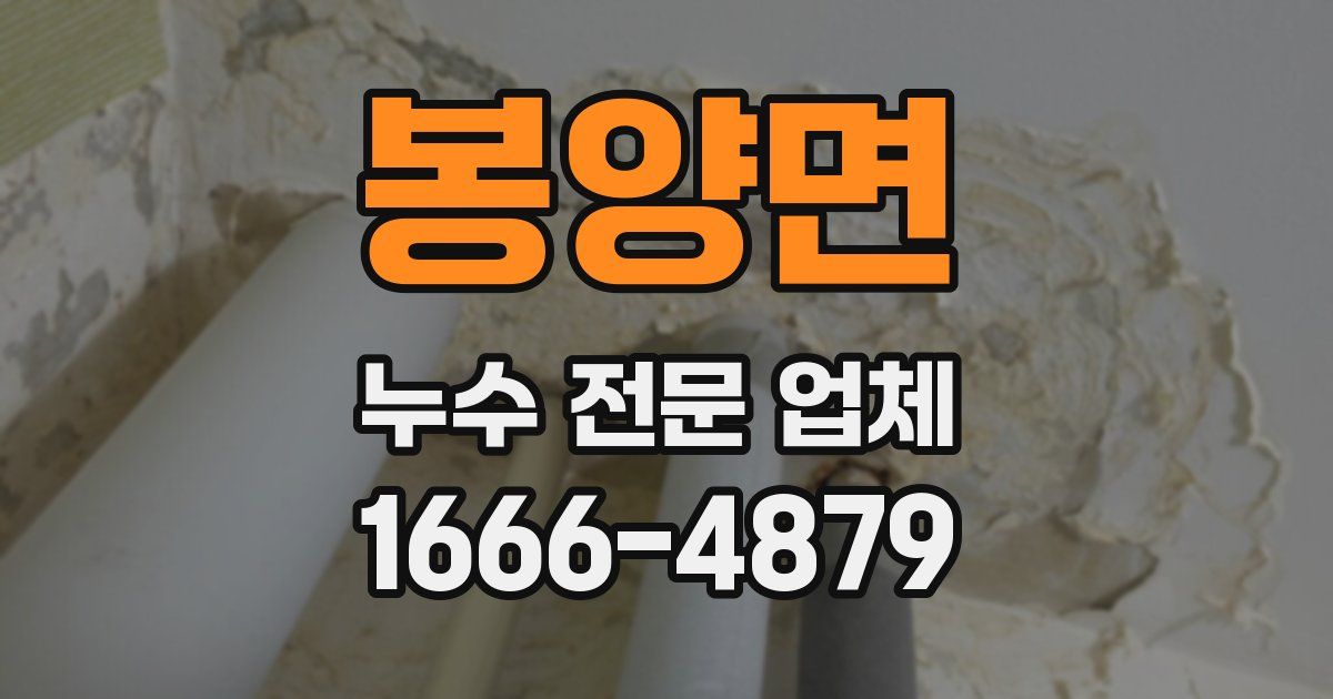 봉양면 누수 전문 업체