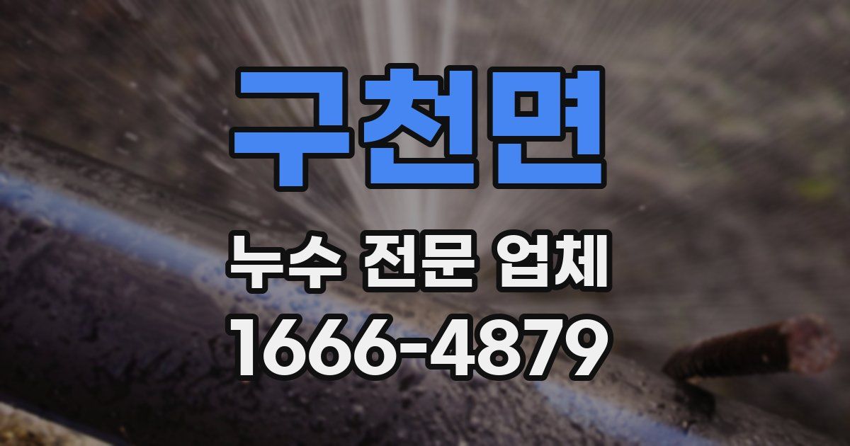 구천면 누수 전문 업체