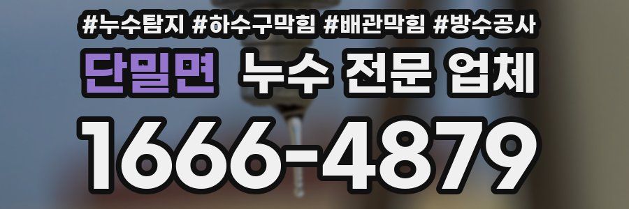 단밀면 누수 전문 업체
