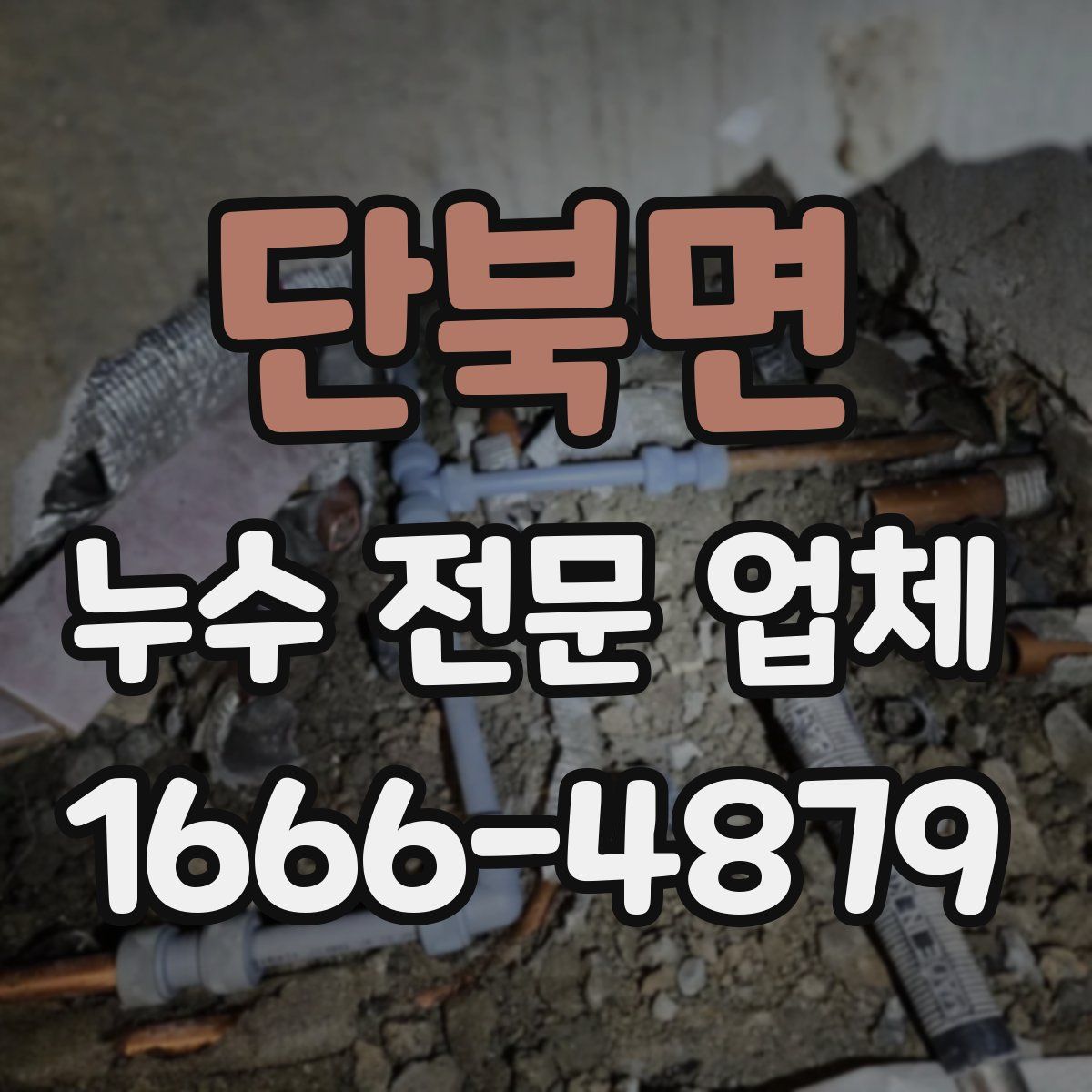 단북면 누수 전문 업체