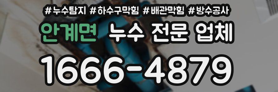 안계면 누수 전문 업체
