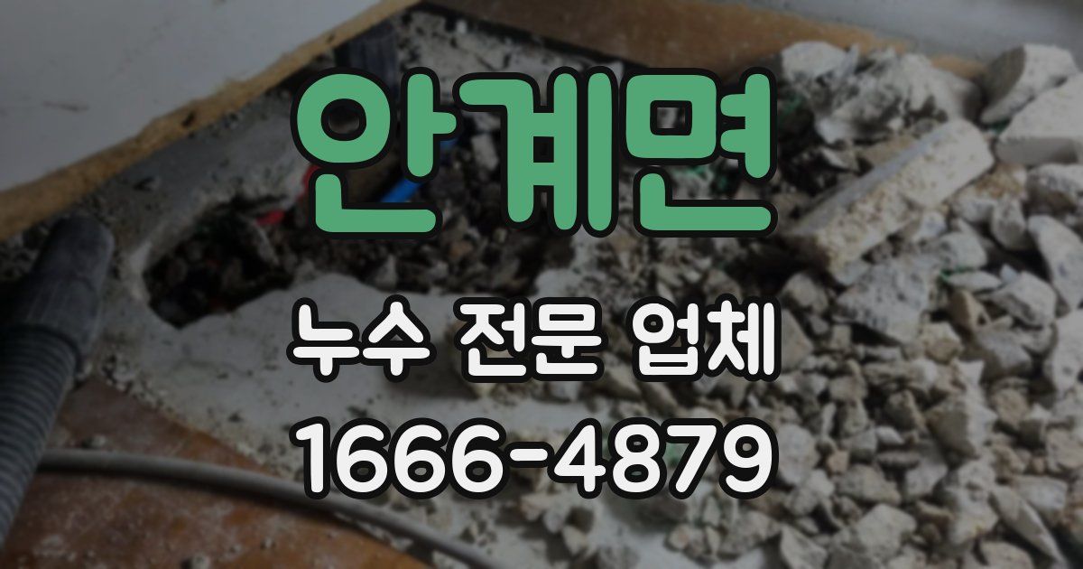 안계면 누수 전문 업체