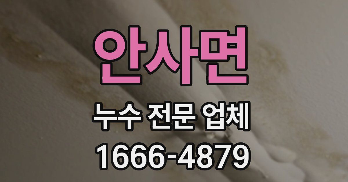 안사면 누수 전문 업체