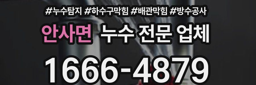 안사면 누수 전문 업체
