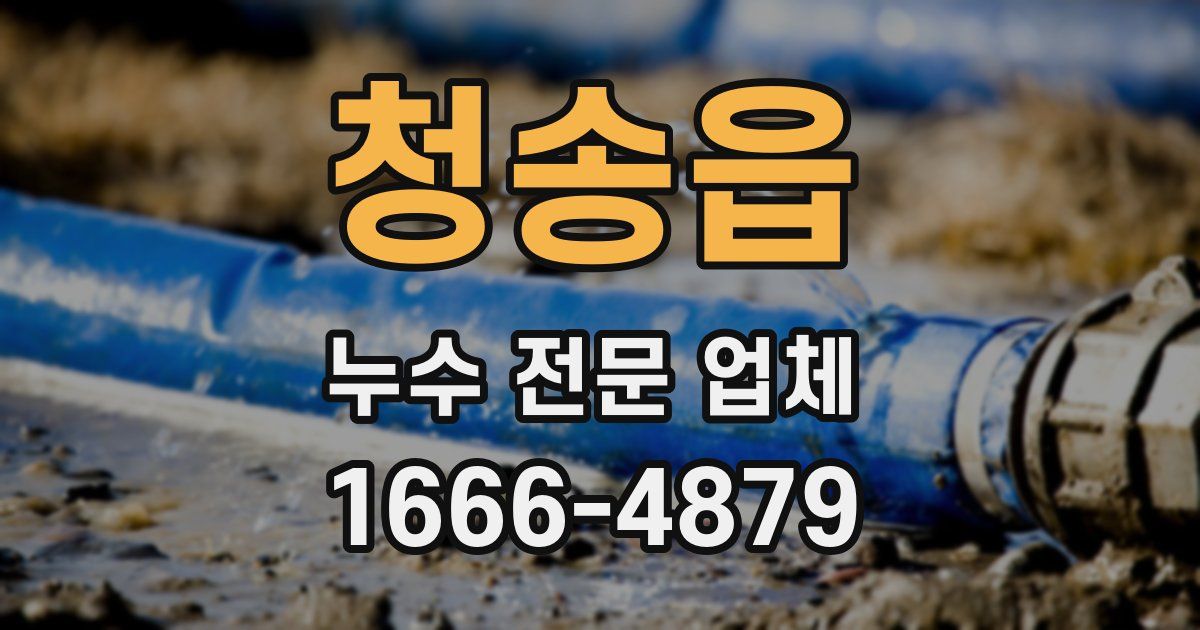 청송읍 누수 전문 업체