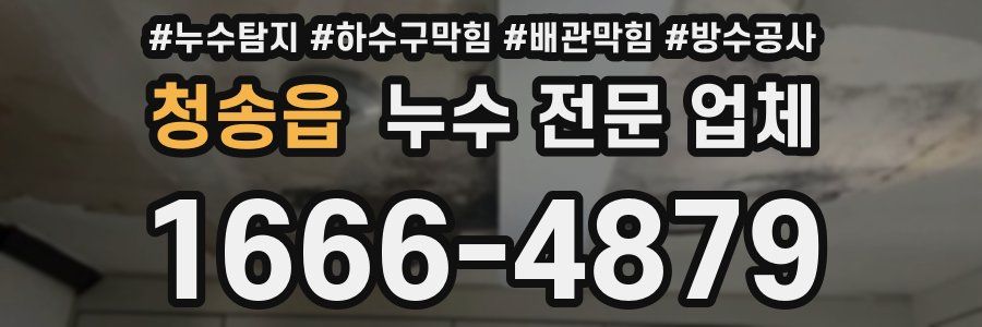 청송읍 누수 전문 업체