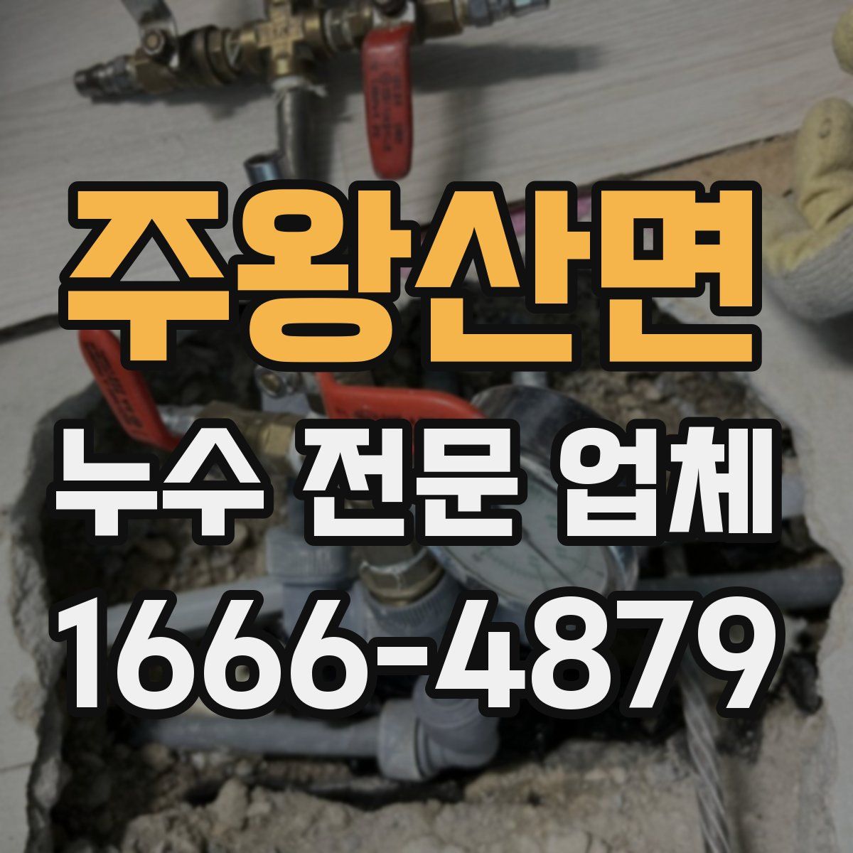 주왕산면 누수 전문 업체