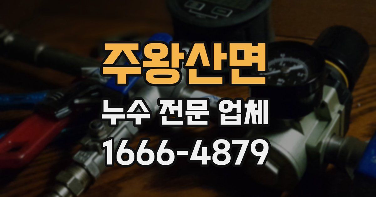주왕산면 누수 전문 업체
