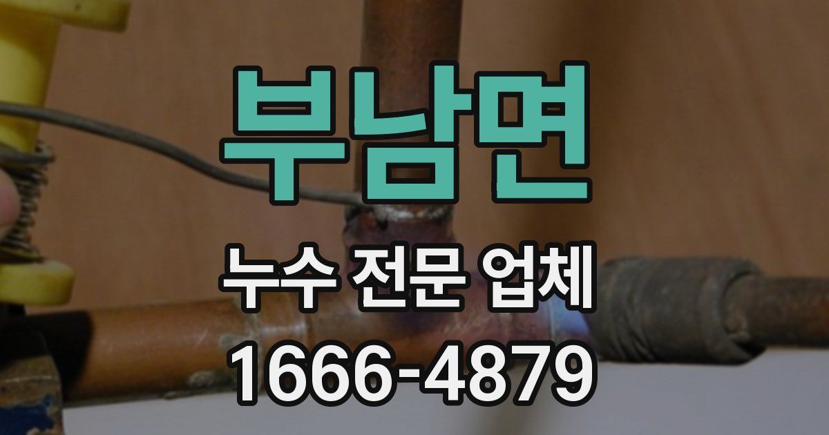 부남면 누수 전문 업체