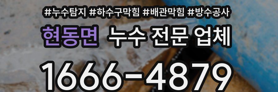 현동면 누수 전문 업체