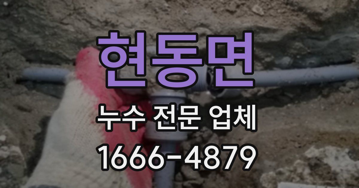현동면 누수 전문 업체