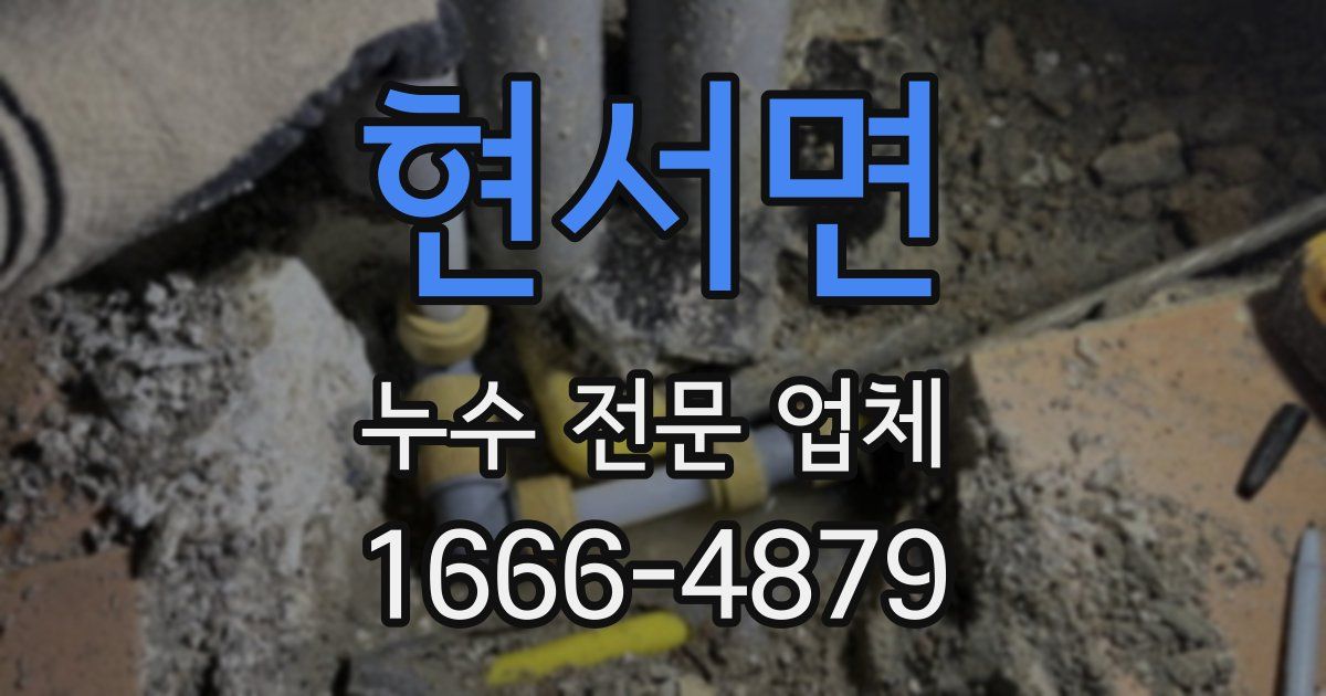 현서면 누수 전문 업체