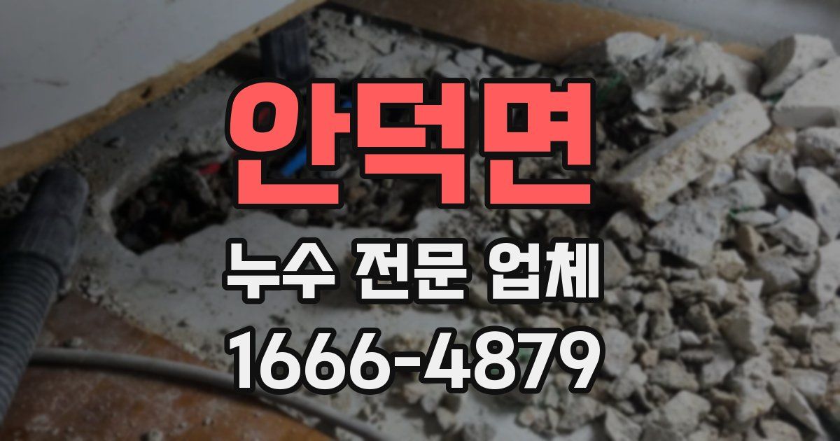안덕면 누수 전문 업체