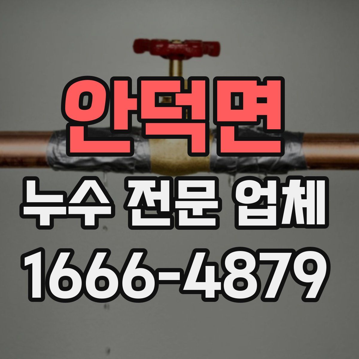 안덕면 누수 전문 업체
